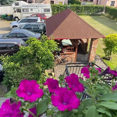 Апартаменты Goscinne Olenka Nowecin