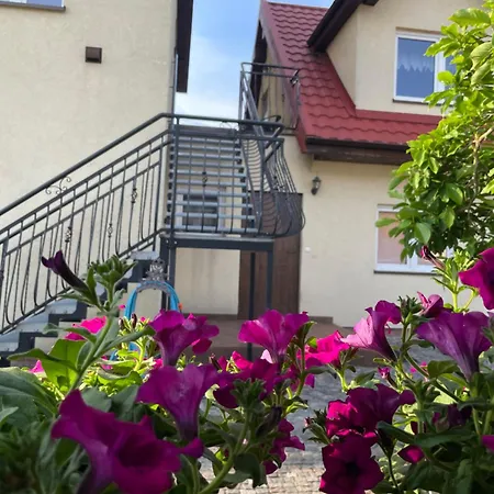 Goscinne Olenka Апартаменты Nowecin