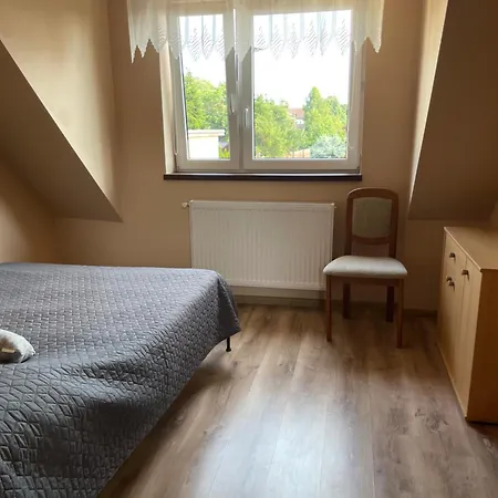 Goscinne Olenka Nowecin
