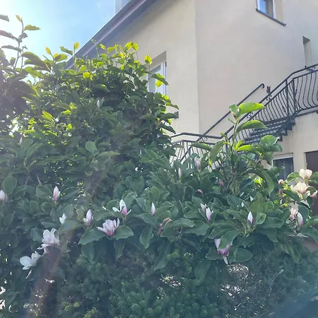 Apartment Goscinne Olenka *